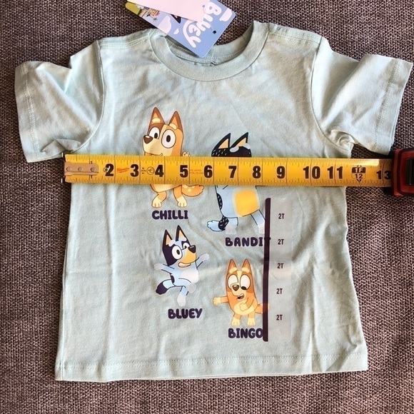 COPY - Moose Toddler Boy Girl Bluey Printed Short Sleeve T-Shirt Green 2T - Picture 8 of 8